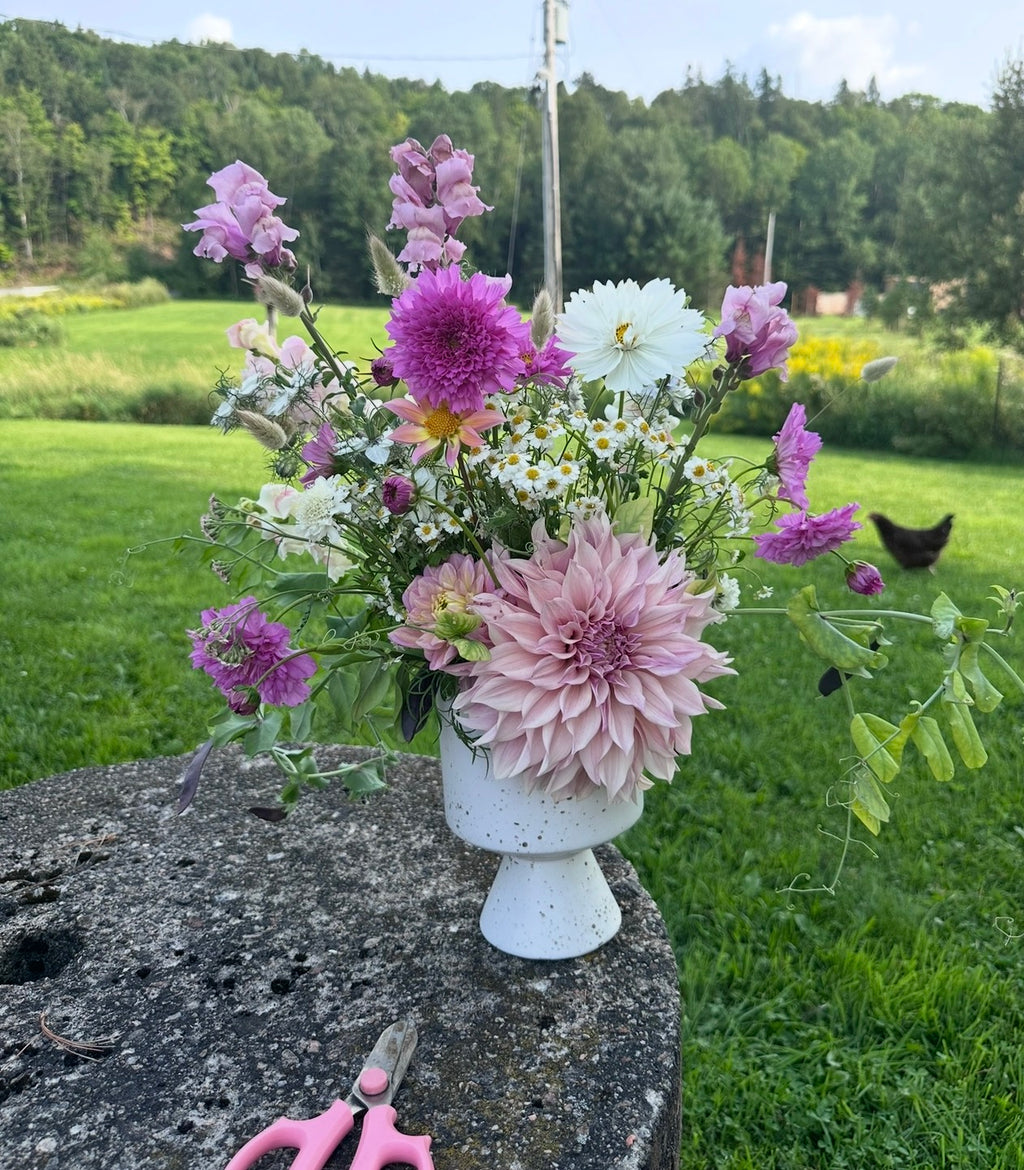 Dahlia grab bags (5)